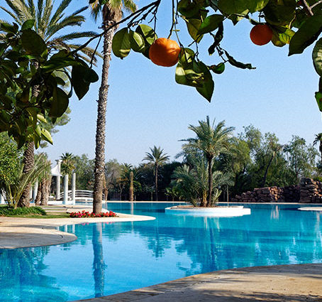 piscine-orange-palmier-marrakech