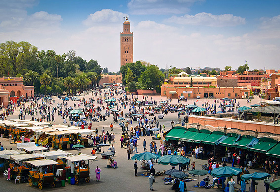 Seminaire activités découvertes Marrakech